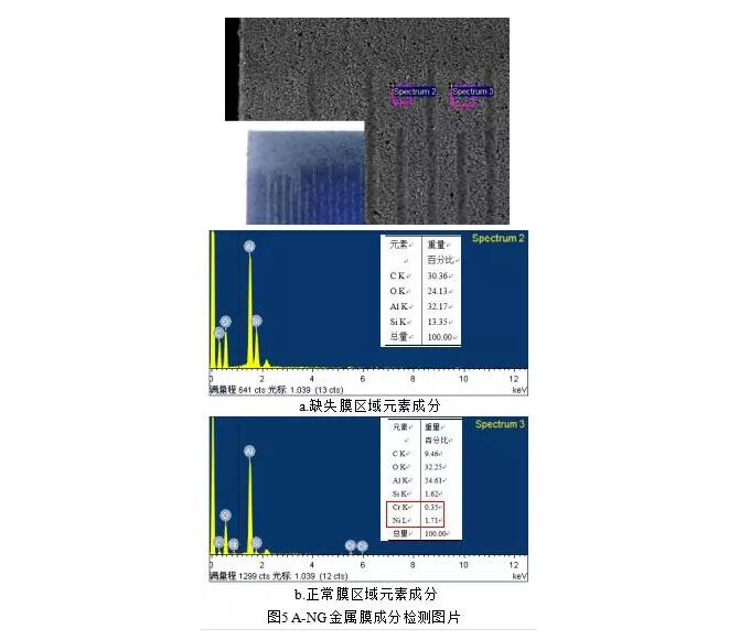 缺失膜與正常膜區(qū)域的元素檢測結(jié)果